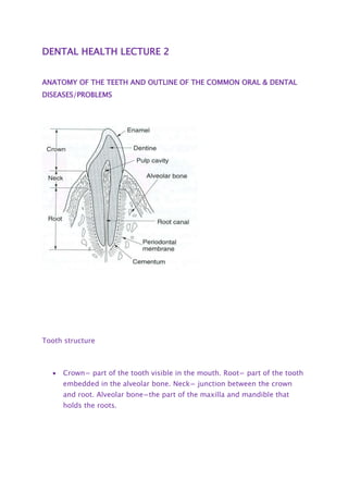 DENTAL HEALTH LECTURE 2
ANATOMY OF THE TEETH AND OUTLINE OF THE COMMON ORAL & DENTAL
DISEASES/PROBLEMS
Tooth structure
 Crown= part of the tooth visible in the mouth. Root= part of the tooth
embedded in the alveolar bone. Neck= junction between the crown
and root. Alveolar bone=the part of the maxilla and mandible that
holds the roots.
 