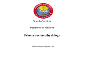 School of medicine
Department of Medicine
Urinary system physiology
Zelalembanjaw9@gmail.com
1
 