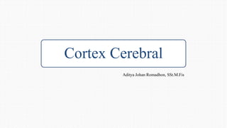 Cortex Cerebral
Aditya Johan Romadhon, SSt.M.Fis
 