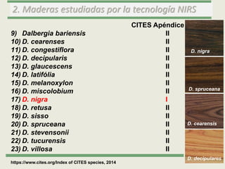 2. Maderas estudiadas por la tecnología NIRS
CITES Apéndice
9) Dalbergia bariensis II
10) D. cearenses II
11) D. congestif...