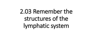 2.03 Remember the
structures of the
lymphatic system
 