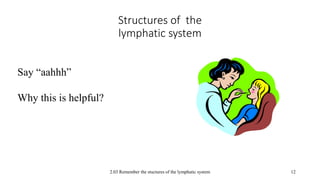2.03 Remember the stuctures of the lymphatic system
Structures of the
lymphatic system
12
Say “aahhh”
Why this is helpful?
 