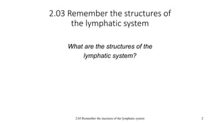 2.03 Remember the structures of
the lymphatic system
What are the structures of the
lymphatic system?
2.03 Remember the stuctures of the lymphatic system 2
 