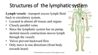2.03 Remember the stuctures of the lymphatic system
Structures of the lymphatic system
5
Lymph vessels - transport excess lymph fluid
back to circulatory system.
• Located in almost all tissues and organs
• Closely parallel veins
• Since the lymphatic system has no pump,
skeletal muscle contractions moves lymph
through the vessels
• Valves prevent backward flow
• Only move in one directions (from body
towards heart)
 