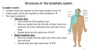 Structures of the lymphatic system
8
Lymph vessels -
• Lymph vessels join together to form larger lymph vessels 
• Large lymph vessels join together to form lymphatics 
• Two main lymphatics:
• Thoracic duct
• Also called the left lymphatic duct
• Receives lymph from the left side of chest, head, arm
and neck, the entire abdominal area and entire lower
body
• Dumps back into left subclavian  SVC
• Right lymphatic duct
• Receives lymph from the right side of the chest, head,
arm and neck
• Dumps back into right subclavian  SVC
 