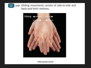 ● Adduction of the thumb moves the thumb toward the palm in the sagittal
plane.
● Circumduction is movement of the distal ...