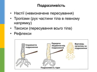 Подразливість
• Настії (невизначене пересування)
• Тропізми (рух частини тіла в певному
напрямку)
• Таксиси (пересування всьго тіла)
• Рефлекси
 