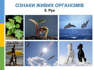 ОЗНАКИ ЖИВИХ ОРГАНІЗМІВ
5. Рух
 