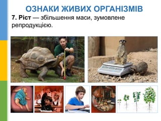 ОЗНАКИ ЖИВИХ ОРГАНІЗМІВ
7. Ріст — збільшення маси, зумовлене
репродукцією.
 