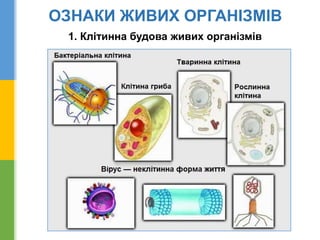 ОЗНАКИ ЖИВИХ ОРГАНІЗМІВ
1. Клітинна будова живих організмів
 