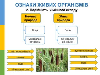 вуглекислий газ
кисень
вода
мінеральні солі
вода
кисень
вуглекислий газ
мінеральні солі
Нежива
природа
Жива
природа
Мінеральні
речовини
Вода
Мінеральні
речовини
Вода
2. Подібність хімічного складу
ОЗНАКИ ЖИВИХ ОРГАНІЗМІВ
 
