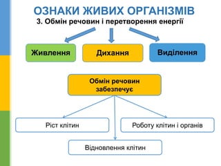 Живлення Дихання Виділення
Обмін речовин
забезпечує
Ріст клітин Роботу клітин і органів
Відновлення клітин
3. Обмін речовин і перетворення енергії
ОЗНАКИ ЖИВИХ ОРГАНІЗМІВ
 