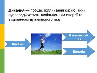 Дихання — процес поглинання кисню, який
супроводжується вивільненням енергії та
виділенням вуглекислого газу.
Кисень
Вуглекислий
газ
Енергія
 