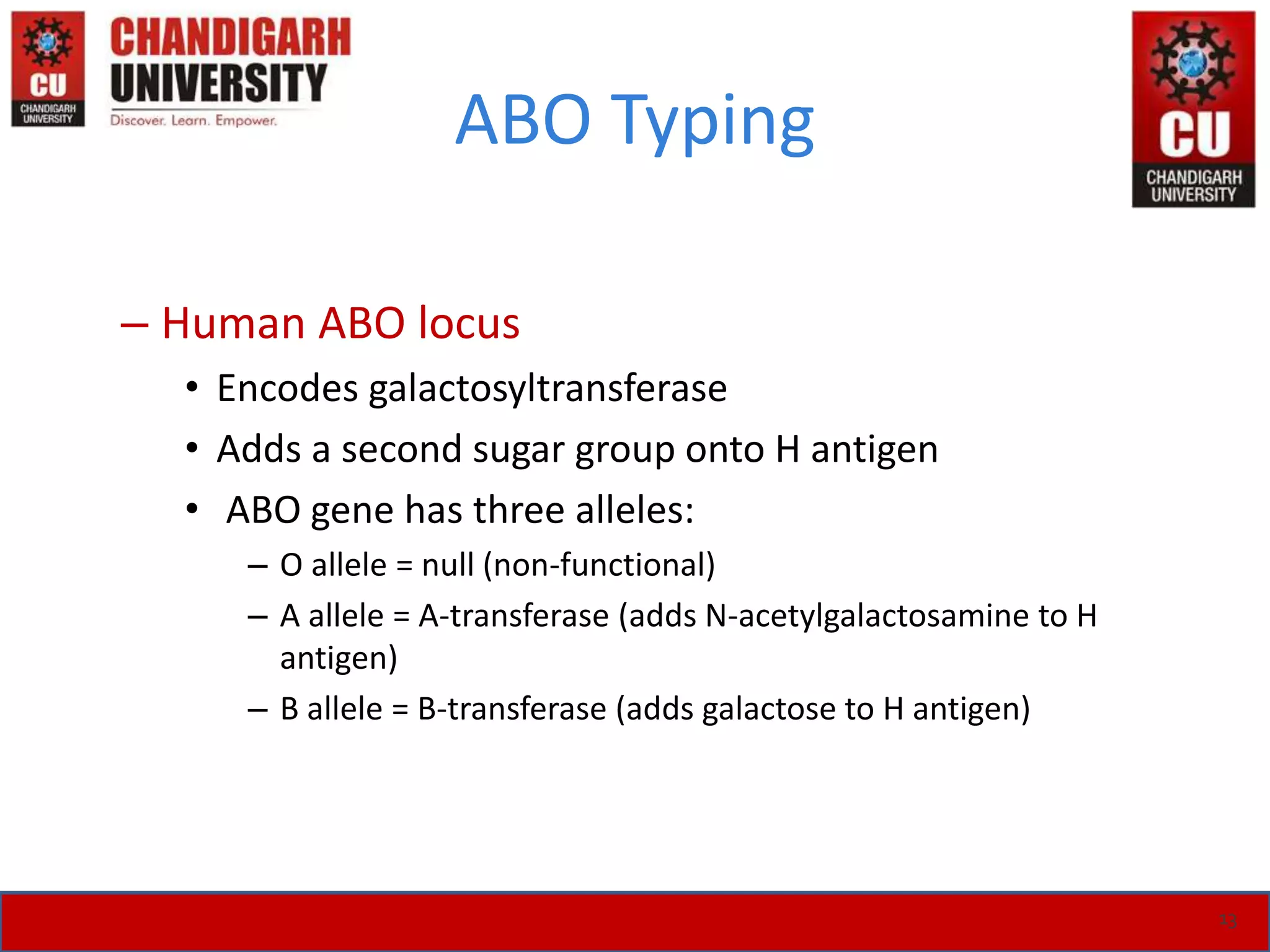 ABO Typing
– Human ABO locus
• Encodes galactosyltransferase
• Adds a second sugar group onto H antigen
• ABO gene has three alleles:
– O allele = null (non-functional)
– A allele = A-transferase (adds N-acetylgalactosamine to H
antigen)
– B allele = B-transferase (adds galactose to H antigen)
13
 