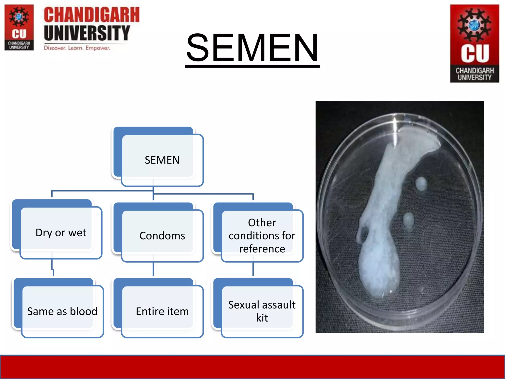 SEMEN
SEMEN
Dry or wet
Same as blood
Condoms
Entire item
Other
conditions for
reference
Sexual assault
kit
 
