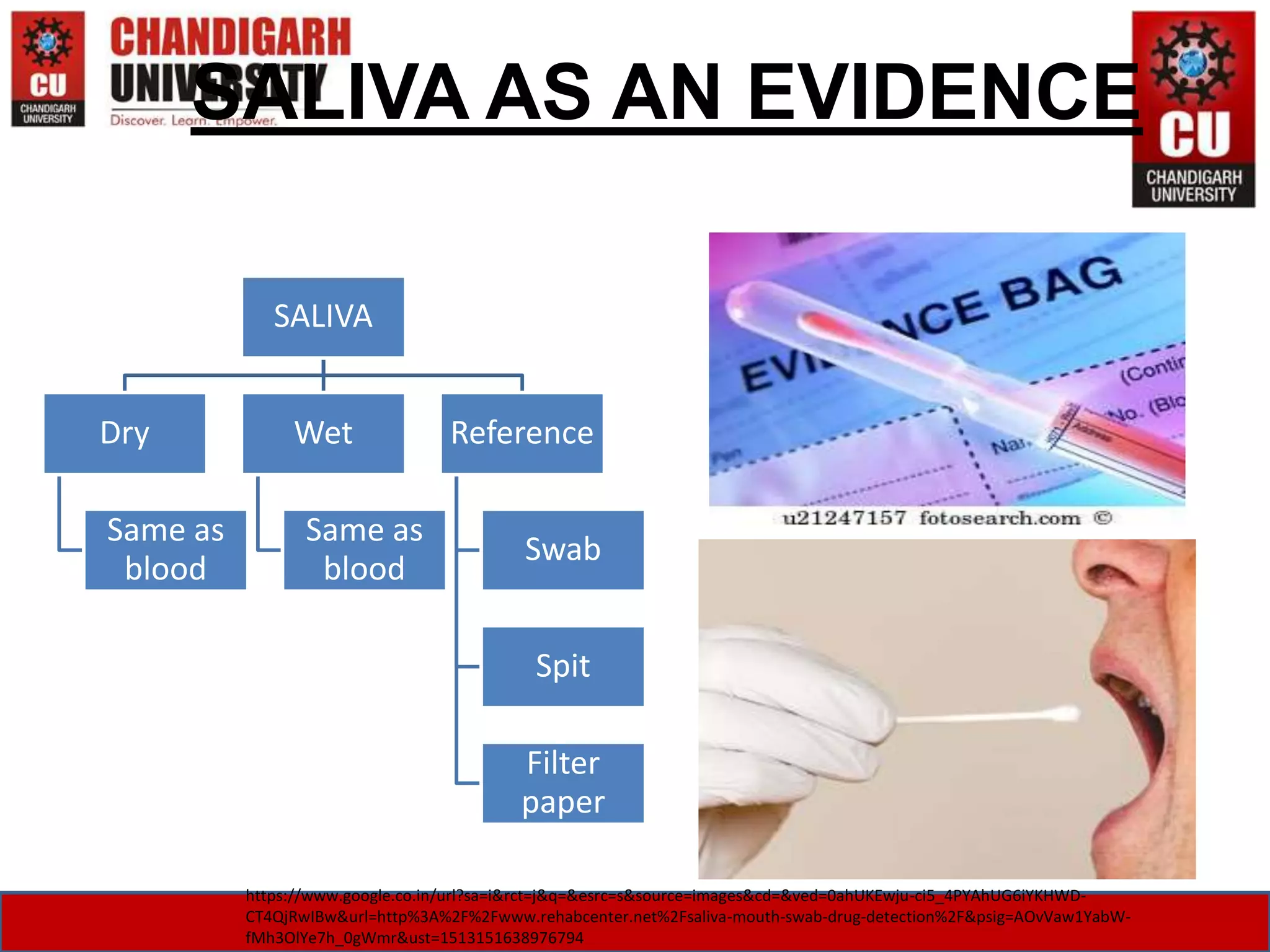 SALIVA AS AN EVIDENCE
SALIVA
Dry
Same as
blood
Wet
Same as
blood
Reference
Swab
Spit
Filter
paper
https://www.google.co.in/url?sa=i&rct=j&q=&esrc=s&source=images&cd=&ved=0ahUKEwju-ci5_4PYAhUG6iYKHWD-
CT4QjRwIBw&url=http%3A%2F%2Fwww.rehabcenter.net%2Fsaliva-mouth-swab-drug-detection%2F&psig=AOvVaw1YabW-
fMh3OlYe7h_0gWmr&ust=1513151638976794
 