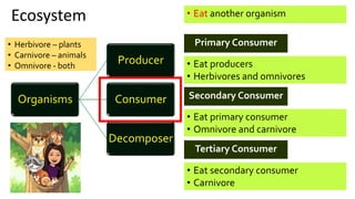 Ecosystem
Organisms
Producer
Consumer
Decomposer
• Eat another organism
• Eat producers
• Herbivores and omnivores
• Eat secondary consumer
• Carnivore
• Eat primary consumer
• Omnivore and carnivore
Primary Consumer
Secondary Consumer
Tertiary Consumer
• Herbivore – plants
• Carnivore – animals
• Omnivore - both
 