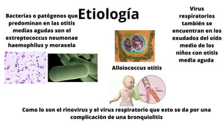 Alloiococcus Enfermedades respiratorias superiores- resfriado común fringitis ...