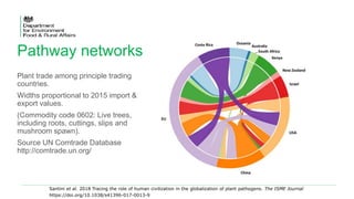 Globalisation Tree 2.-Introduction.pptx