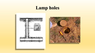 Lamp holes
 