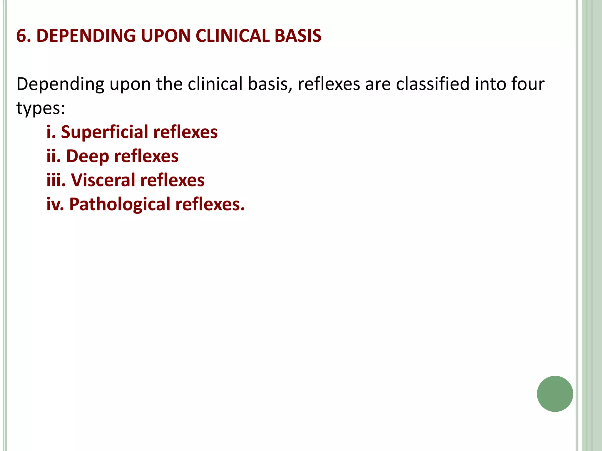 6. DEPENDING UPON CLINICAL BASIS
Depending upon the clinical basis, reflexes are classified into four
types:
i. Superficial reflexes
ii. Deep reflexes
iii. Visceral reflexes
iv. Pathological reflexes.
 