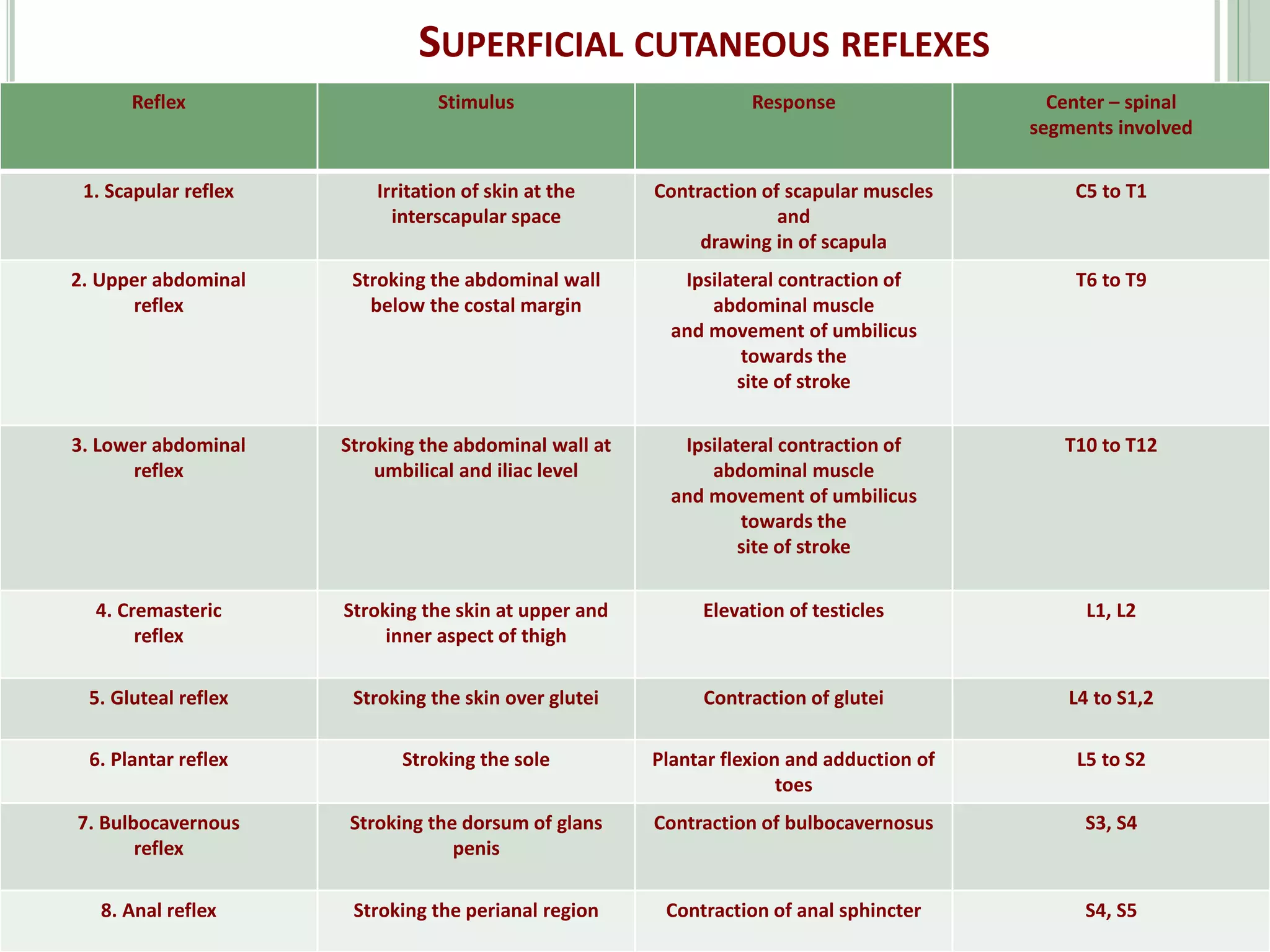 SUPERFICIAL CUTANEOUS REFLEXES
Reflex Stimulus Response Center – spinal
segments involved
1. Scapular reflex Irritation of skin at the
interscapular space
Contraction of scapular muscles
and
drawing in of scapula
C5 to T1
2. Upper abdominal
reflex
Stroking the abdominal wall
below the costal margin
Ipsilateral contraction of
abdominal muscle
and movement of umbilicus
towards the
site of stroke
T6 to T9
3. Lower abdominal
reflex
Stroking the abdominal wall at
umbilical and iliac level
Ipsilateral contraction of
abdominal muscle
and movement of umbilicus
towards the
site of stroke
T10 to T12
4. Cremasteric
reflex
Stroking the skin at upper and
inner aspect of thigh
Elevation of testicles L1, L2
5. Gluteal reflex Stroking the skin over glutei Contraction of glutei L4 to S1,2
6. Plantar reflex Stroking the sole Plantar flexion and adduction of
toes
L5 to S2
7. Bulbocavernous
reflex
Stroking the dorsum of glans
penis
Contraction of bulbocavernosus S3, S4
8. Anal reflex Stroking the perianal region Contraction of anal sphincter S4, S5
 