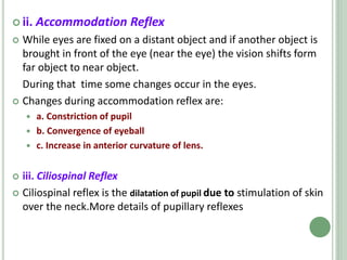  ii. Accommodation Reflex
 While eyes are fixed on a distant object and if another object is
brought in front of the eye (near the eye) the vision shifts form
far object to near object.
During that time some changes occur in the eyes.
 Changes during accommodation reflex are:
 a. Constriction of pupil
 b. Convergence of eyeball
 c. Increase in anterior curvature of lens.
 iii. Ciliospinal Reflex
 Ciliospinal reflex is the dilatation of pupil due to stimulation of skin
over the neck.More details of pupillary reflexes
 