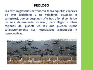2. Aves Migratorias.ppt