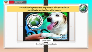 atención de personas expuestas al virus rábico
profilaxis Antirrábica Humana
Dra. Yris Violeta Carpio Bazán
Lima -Perú
 