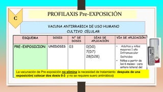 2.Atenc. person exp.rabia-PROFILAXIS-Yris Carpio.pptx