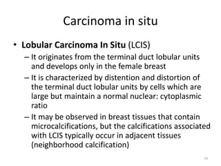 Carcinoma in situ
• Lobular Carcinoma In Situ (LCIS)
– It originates from the terminal duct lobular units
and develops only in the female breast
– It is characterized by distention and distortion of
the terminal duct lobular units by cells which are
large but maintain a normal nuclear: cytoplasmic
ratio
– It may be observed in breast tissues that contain
microcalcifications, but the calcifications associated
with LCIS typically occur in adjacent tissues
(neighborhood calcification)
19
 