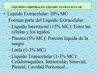 • Líquido Extracelular: 20% MC
Forman parte del Líquido Extracelular:
–Líquido Intersticial (15% MC): Entre las
células y los tejidos
–Plasma (5% MC): Porción líquida de la
sangre
–Linfa (1-3% MC)
–Líquido Transcelular (1-3% MC):
Cefalorraquídeo, Intraocular, Sinovial,
Pleural, Cavidad Peritoneal...
LÍQUIDOS CORPORALES: LÍQUIDO EXTRACELULAR
 
