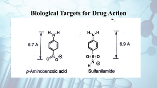 Biological Targets for Drug Action
Interaction with biological target – Pharmacological activity
Targets : receptor , enzyme ,nucleic acid or excitable membrane
Woods demonstration : (1940), PABA and Sulfanilamide
(Sulphonamide)
Drug : Functional group , physicochemical properties, 3D “fit”
Pharmacokinetics of drug
 