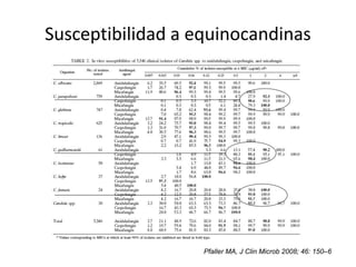 Susceptibilidad a equinocandinas
Pfaller MA, J Clin Microb 2008; 46: 150–6
 