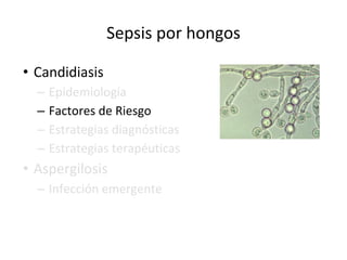 Sepsis por hongos
• Candidiasis
– Epidemiología
– Factores de Riesgo
– Estrategias diagnósticas
– Estrategias terapéuticas
• Aspergilosis
– Infección emergente
 
