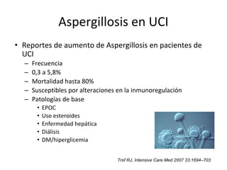 Aspergillosis en UCI
• Reportes de aumento de Aspergillosis en pacientes de
UCI
– Frecuencia
– 0,3 a 5,8%
– Mortalidad hasta 80%
– Susceptibles por alteraciones en la inmunoregulación
– Patologías de base
• EPOC
• Uso esteroides
• Enfermedad hepática
• Diálisis
• DM/hiperglicemia
Trof RJ, Intensive Care Med 2007 33:1694–703
 