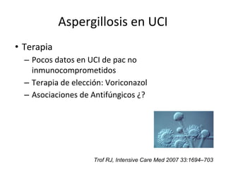 Aspergillosis en UCI
• Terapia
– Pocos datos en UCI de pac no
inmunocomprometidos
– Terapia de elección: Voriconazol
– Asociaciones de Antifúngicos ¿?
Trof RJ, Intensive Care Med 2007 33:1694–703
 