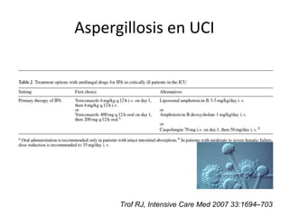 Aspergillosis en UCI
Trof RJ, Intensive Care Med 2007 33:1694–703
 
