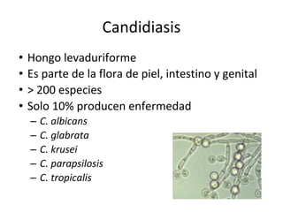 Candidiasis
• Hongo levaduriforme
• Es parte de la flora de piel, intestino y genital
• > 200 especies
• Solo 10% producen enfermedad
– C. albicans
– C. glabrata
– C. krusei
– C. parapsilosis
– C. tropicalis
 