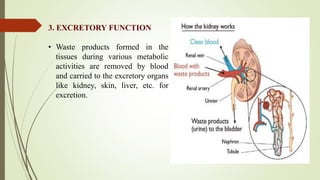 3. EXCRETORY FUNCTION
• Waste products formed in the
tissues during various metabolic
activities are removed by blood
and carried to the excretory organs
like kidney, skin, liver, etc. for
excretion.
 