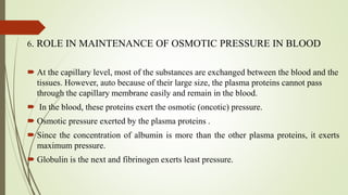 6. ROLE IN MAINTENANCE OF OSMOTIC PRESSURE IN BLOOD
 At the capillary level, most of the substances are exchanged between the blood and the
tissues. However, auto because of their large size, the plasma proteins cannot pass
through the capillary membrane easily and remain in the blood.
 In the blood, these proteins exert the osmotic (oncotic) pressure.
 Osmotic pressure exerted by the plasma proteins .
 Since the concentration of albumin is more than the other plasma proteins, it exerts
maximum pressure.
 Globulin is the next and fibrinogen exerts least pressure.
 