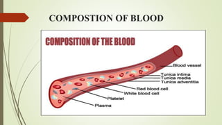 COMPOSTION OF BLOOD
 