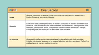Evaluación
Antes
Generar instancias de evaluación de conocimientos previos sobre seres vivos e
inertes. Partes de una planta. Hongos.
Durante
Evaluación de su desempeño tanto de manera oral como de manera escrita en cada
instancia, tanto individual como colectivamente, visualizando su: predisposición para
el trabajo, participación activa, comprensión y análisis de las temáticas a trabajar,
trabajo en grupo, iniciativa para la realización de actividades.
Al finalizar Observación de las evidencias realizadas a través del abordaje de la temática,
trabajos culminados, avances en el área de la lectura, escritura y oralidad. Reflexión y
análisis tanto de manera oral como escrita.
 