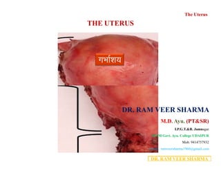 THE UTERUS
The Uterus
xHkkZ”k;
DR. RAM VEER SHARMA
DR. RAM VEER SHARMA
M.D. Ayu. (PT&SR)
I.P.G.T.&R. Jamnagar
MMM Govt. Ayu. College UDAIPUR
Mob. 9414757932
Email. ramveersharma1960@gmail.com
 
