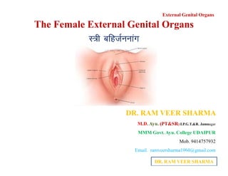 External Genital Organs
The Female External Genital Organs
L=h cfgtZuukax
DR. RAM VEER SHARMA
DR. RAM VEER SHARMA
M.D. Ayu. (PT&SR) I.P.G.T.&R. Jamnagar
MMM Govt. Ayu. College UDAIPUR
Mob. 9414757932
Email. ramveersharma1960@gmail.com
 