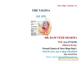 THE VAGINA
¼L=h ;ksfu½
Stree Roga Anatomy (2)
DR. RAM VEER SHARMA
M.D. Ayu.(PT&SR)
PROF.& H.O.D.
Prasuti Tantra & Stree Roga Dep't.
M.M.M .Govt. Ayu. College UDAIPUR
Mob. 9414757932
Email. ramveersharma1960@gmail.com
Dr. Ram Veer Sharma
 