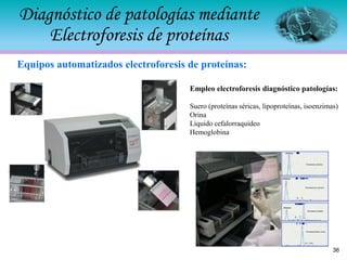 Diagnóstico de patologías mediante
Electroforesis de proteínas
Equipos automatizados electroforesis de proteínas:
Empleo electroforesis diagnóstico patologías:
Suero (proteínas séricas, lipoproteínas, isoenzimas)
Orina
Líquido cefalorraquídeo
Hemoglobina
36
 