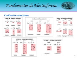 Fundamentos de Electroforesis
Grupos “R” no polares (alifáticos)
Glicina Alanina Valina
Leucina Metionina Isoleucina
Grupos “R” aromáticos
Fenilalanina Tirosina Triptófano
Grupos “R” polares (no cargados)
Serina Treonina Cisteína
Prolina Asparagina Glutamina
Lisina Arginina Histidina
Grupos “R” cargados positivamente
Grupos “R” cargados negativamente
Aspartato Glutamato
Clasificación Aminoácidos:
9
 