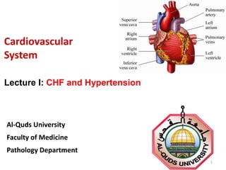 Cardiovascular
System
Al-Quds University
Faculty of Medicine
Pathology Department
1
Lecture I: CHF and Hypertension
 
