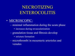 NECROTIZING
ENTEROCOLITIS
• MICROSCOPIC:
– minimal inflammation during the acute phase
• increases during revascularization
– granulation tissue and fibrosis develop
• stricture formation
– microthrombi in mesenteric arterioles and
venules
 